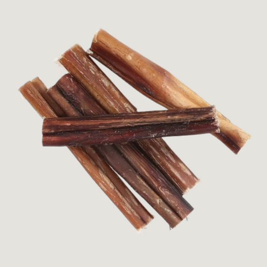 Bully Stick (Beef Pizzle) - Individually sold